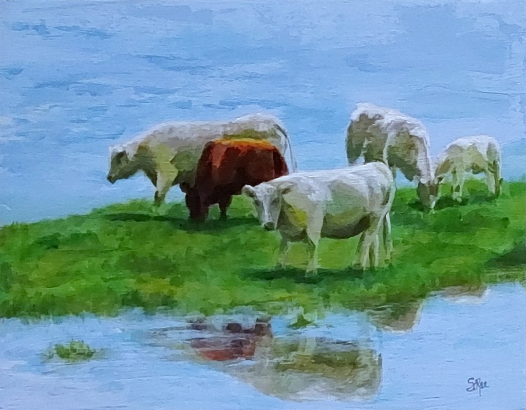 After the Storm - Stacie Rae Pedrick - Art Approach Ocala Florida - NO REUSE without permission